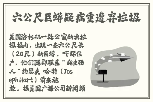 中国x战安装包2024
